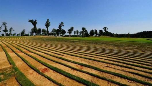 山水林田湖草 調(diào)查知多少?第三次全國國土調(diào)查最新進展來了!