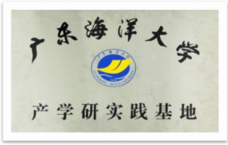 1574912048919423.png 1574912048919423.png