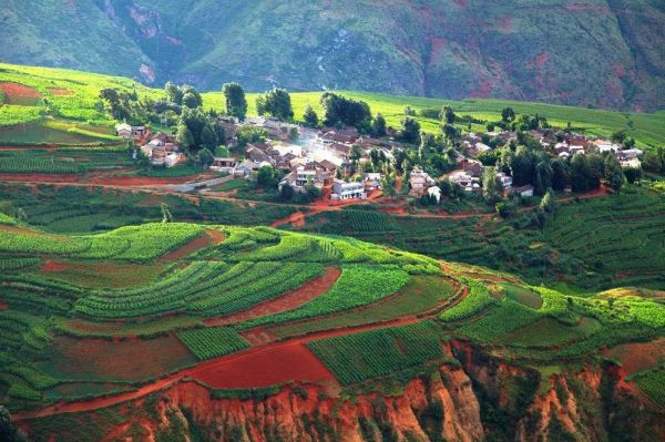 1576744301923329.jpg 農(nóng)田3.jpg