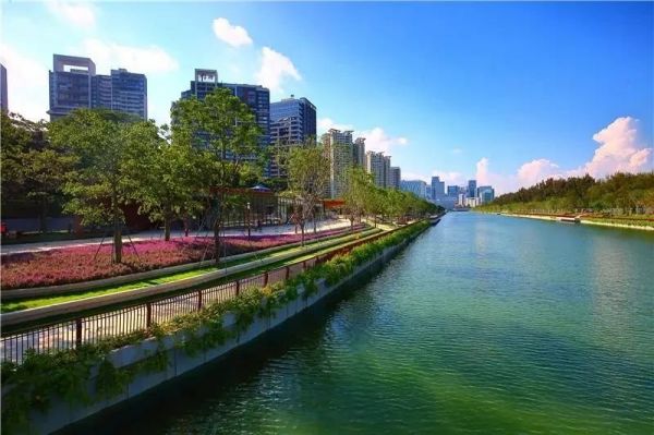 1577084591987020.jpeg 深圳1.jpeg