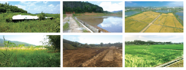 1606293626831203.png 1606293115(1).png